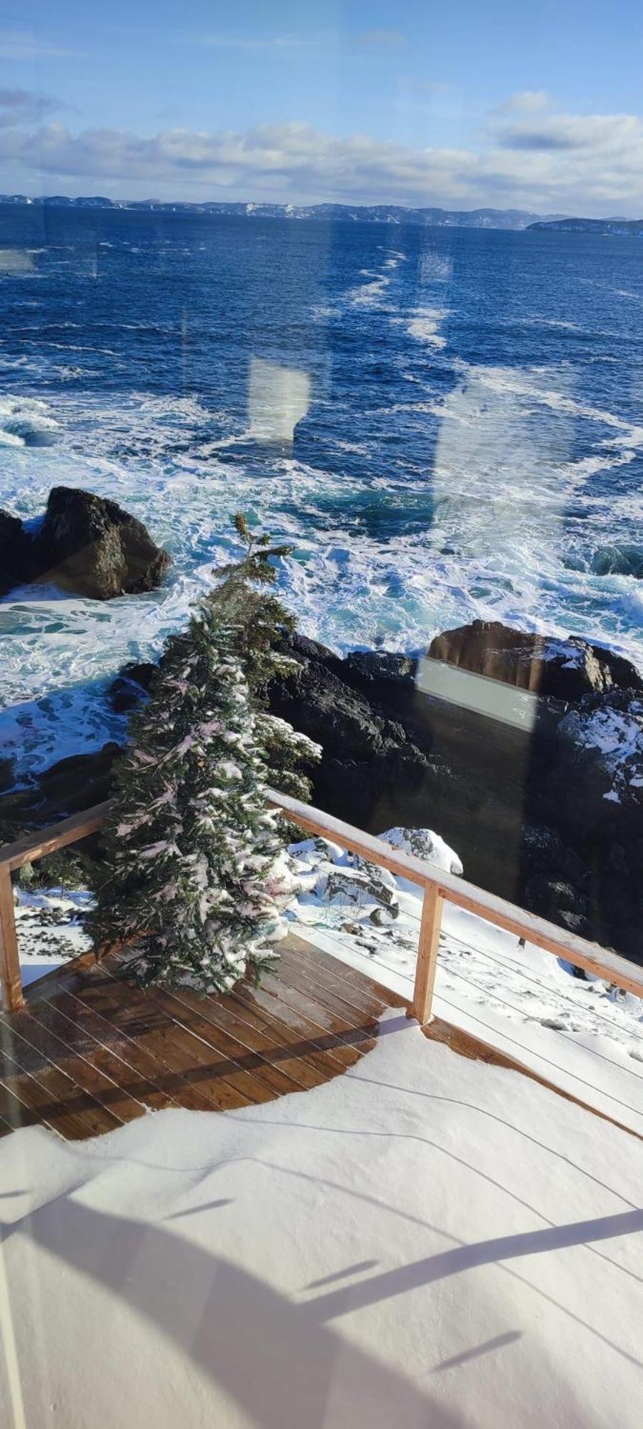 The View Suites And Breakfast In Triton, Newfoundland Pilley's Island Exterior photo