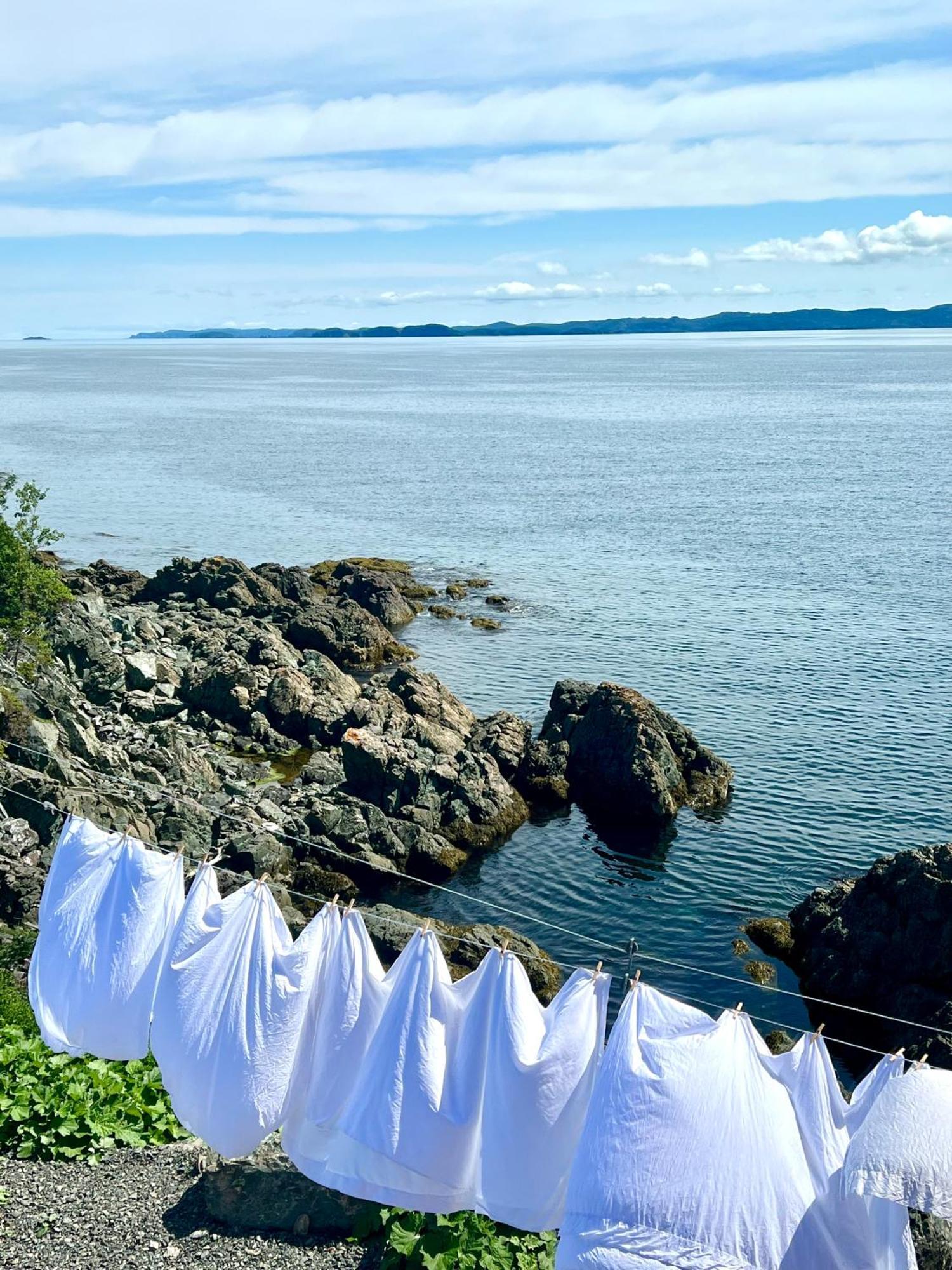 The View Suites And Breakfast In Triton, Newfoundland Pilley's Island Exterior photo