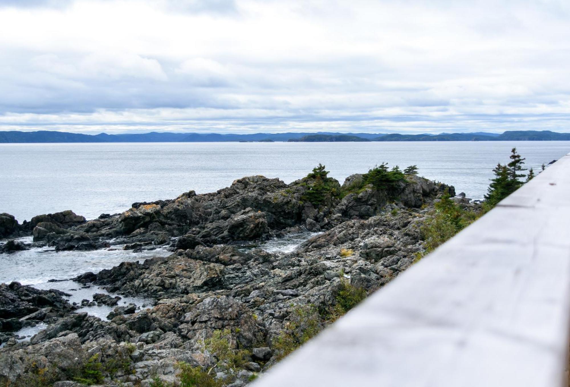 The View Suites And Breakfast In Triton, Newfoundland Pilley's Island Exterior photo